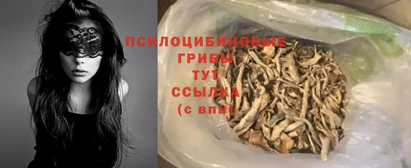 стаф Нефтегорск
