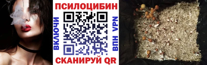 Псилоцибиновые грибы Magic Shrooms  KRAKEN маркетплейс  Ак-Довурак  купить  