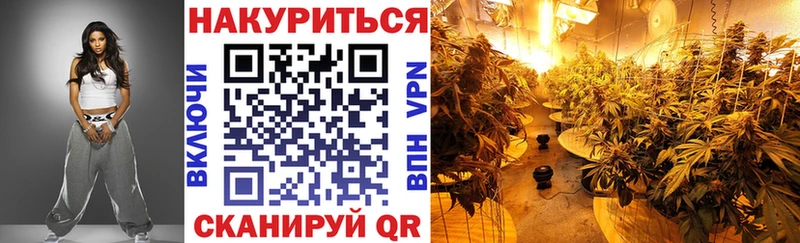 kraken   Ак-Довурак  МАРИХУАНА планчик 
